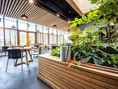 Binnentuin en duurzame meubels van lokale makelij in restaurant Wannee Leeuwarden. 